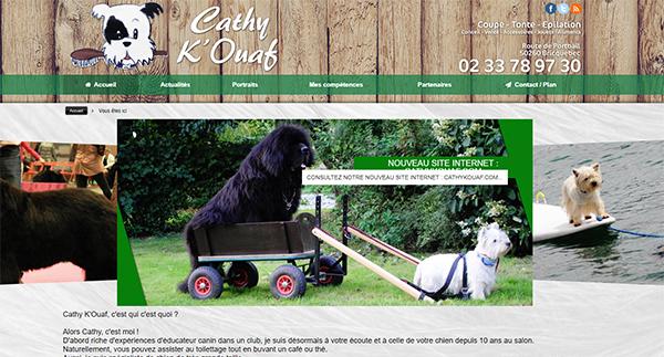 Découvrir le Site Web